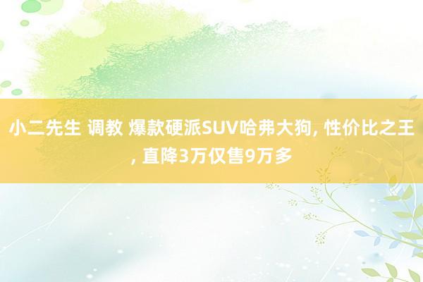 小二先生 调教 爆款硬派SUV哈弗大狗， 性价比之王， 直降3万仅售9万多