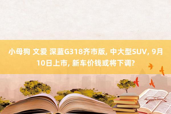 小母狗 文爱 深蓝G318齐市版, 中大型SUV, 9月10日上市, 新车价钱或将下调?