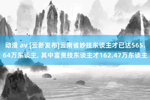 动漫 av [云新发布]云南省妙技东谈主才已达565.64万东谈主, 其中富贵技东谈主才162.47