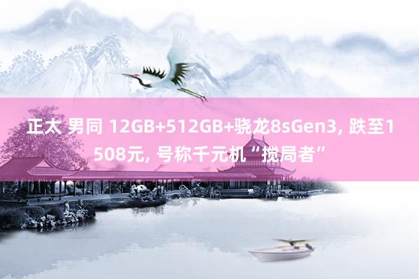 正太 男同 12GB+512GB+骁龙8sGen3， 跌至1508元， 号称千元机“搅局者”