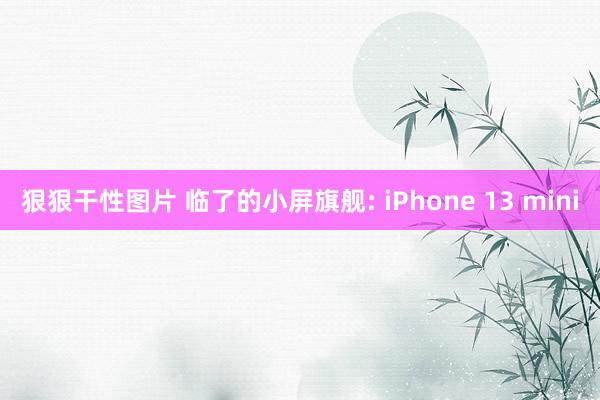 狠狠干性图片 临了的小屏旗舰: iPhone 13 mini